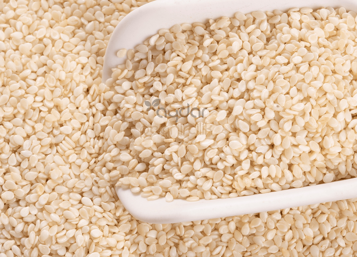 Beyaz Susam 100gr